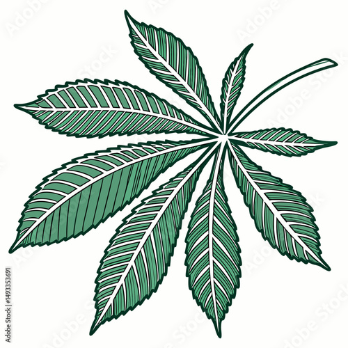 Εκτύπωση καμβά Detailed illustration of a vibrant green palmate leaf