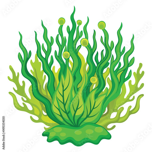 Algae clipart flat design isolated on white background