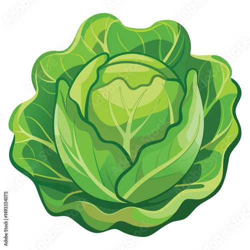 Cabbage clipart flat design isolated on white background