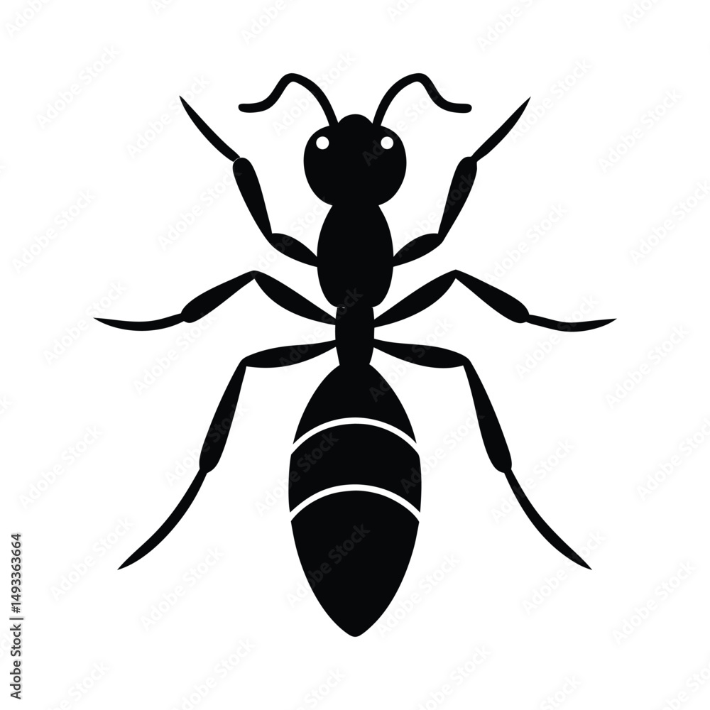 vector illustration of an ant vector illustration of an ant