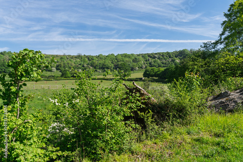 Across the vale