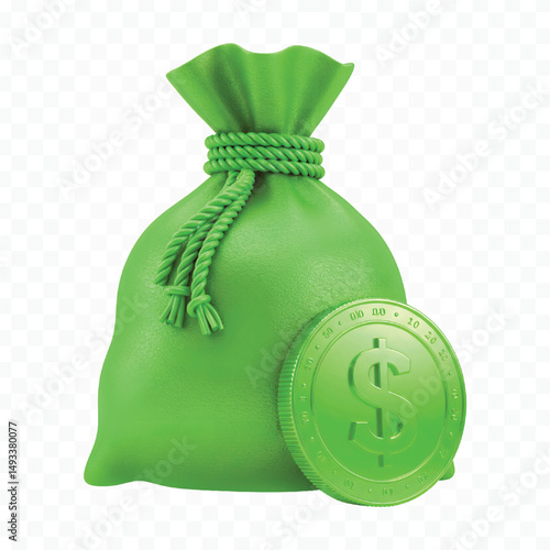 money bag with money