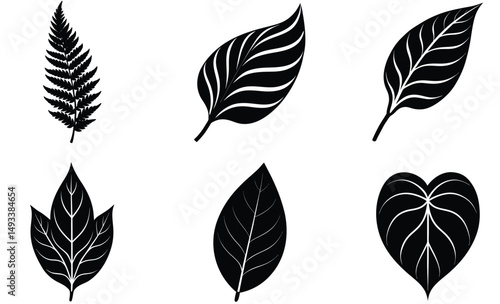 Indoor Plant Leaf Silhouette Collection – Vector Set of Decorative Houseplant Foliage, detailed leaves for Botanical, Minimalist, and Home Interior Design Projects