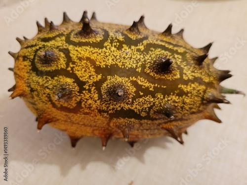 Kiwano Fruit