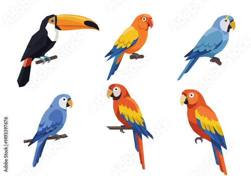 Vibrant Collection of Tropical Birds Toucan and Parrots