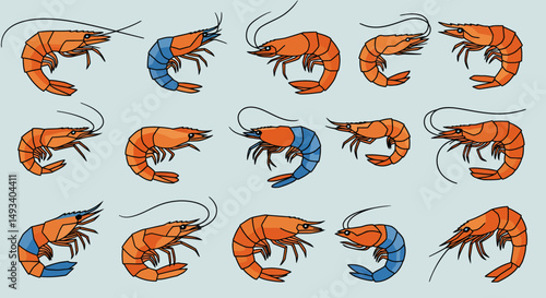 Collection of Stylized Orange and Blue Shrimp Illustrations