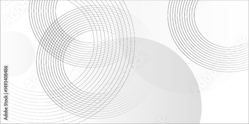 White geometric abstract background overlap layer on bright space with lines effect decoration. Modern graphic design element circles style concept for banner.