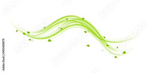 Green air swirl effect with flying mint leaves isolated on white background PNG, vector realistic illustration for advertising design.	