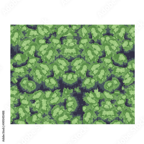 Seamless pattern texture of bush, grass
