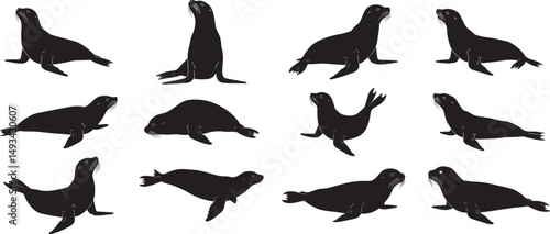 Seal silhouettes collection vector illustration graphic design marine animal wildlife ocean mammals isolated 100