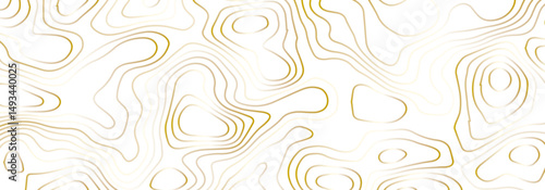 Abstract topographic map contour, white background and colorful wave lines pattern texture. geographic contour map grid backdrop paper texture. terrain path isolated on a background.