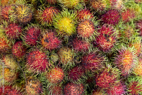 A vibrant collection of rambutan tropical fruits.