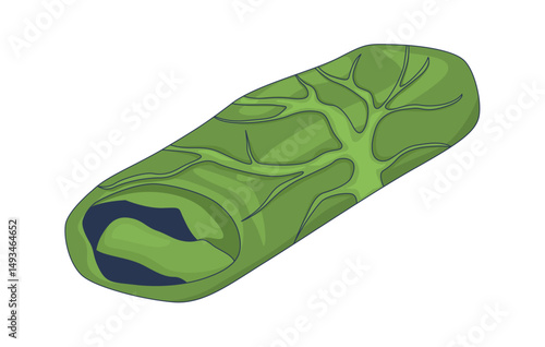 Stuffed cabbage roll 2D cartoon object. Leafy green wrapped food. Leaf texture, meat filling. Vegan roll dish. Asian cuisine isolated element flat vector clip art on white. Spot illustration