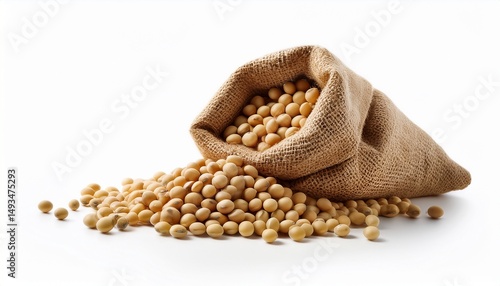 soybeans in sack isolated on white background