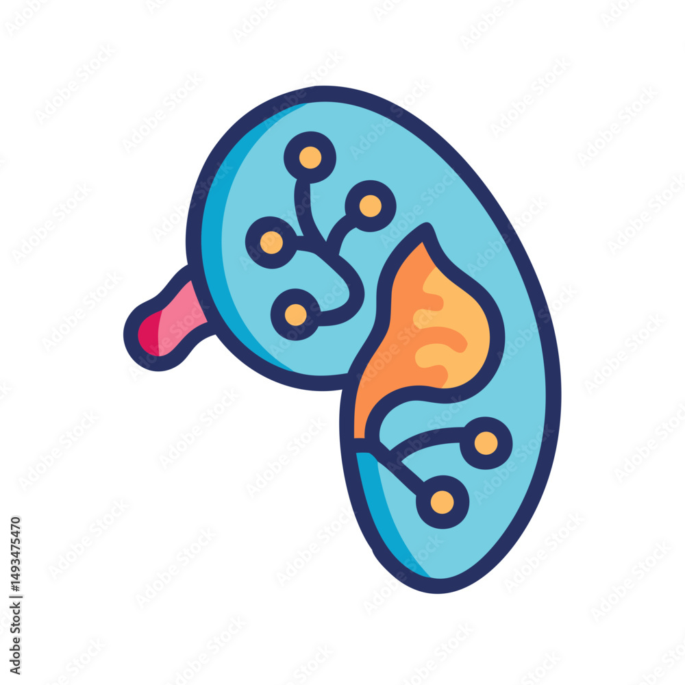 Fototapeta premium Kidney vector icon illustration in flat design style