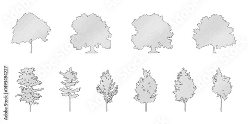 hatch tree line drawing set, Side view, set of graphics trees elements outline symbol for architecture and landscape design drawing. Vector illustration in stroke fill in white. Tropical