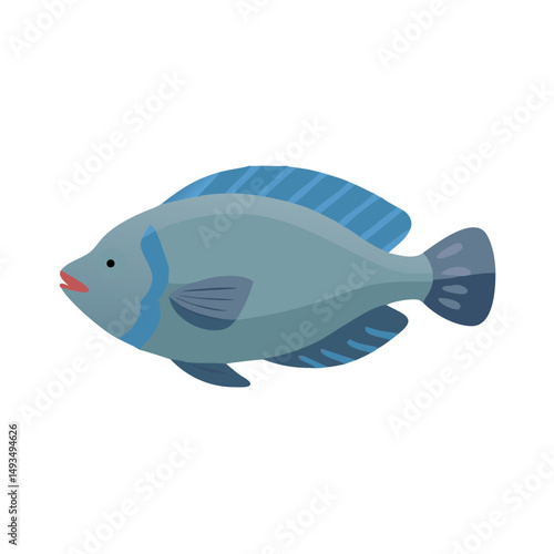 Blue Tilapia Fish on Black Background Simple Illustration