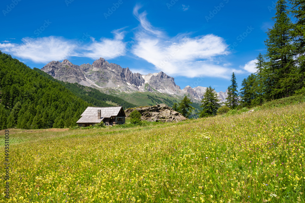 Fototapeta premium Summer view of Claree Valley with blooming wildflowers and Cerces Massif mountain range. Hautes Alpes, French Alps, France