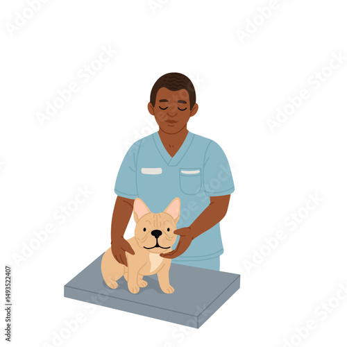 Veterinarian and dog in the clinic conceptual illustration in flat style isolated on white background. African american male vet doctor examining french bulldog.