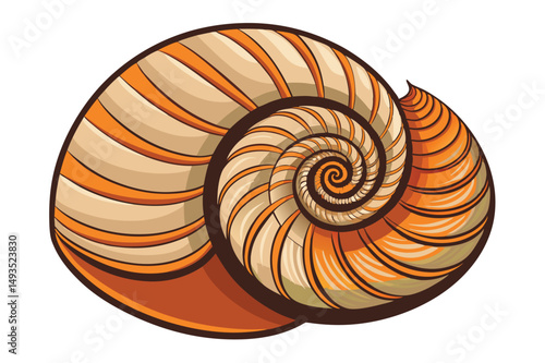 Vector illustration of a nautilus shell showcasing intricate patterns and vibrant orange hues inspired by natural marine life