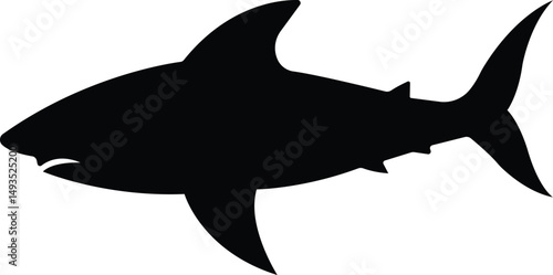 Shark Silhouette: A bold, minimalist silhouette of a great white shark against a white background. Its powerful fin and sharp teeth are visible in the simple, elegant design.