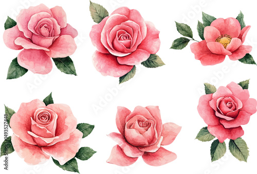 set of pink roses