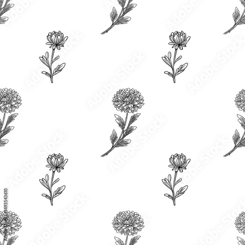 Seamless vector pattern with hand-drawn black and white aster flowers and leaves, featuring detailed botanical illustrations in a minimalist style, perfect for textile prints and design.