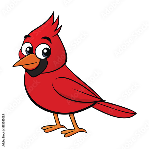 Cartoon red cardinal standing while looking forward is isolated on a white backdrop