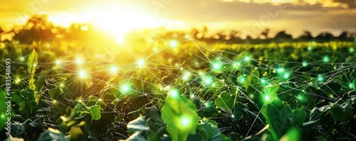 Visualizing fields with digital grid connections for better resource management.