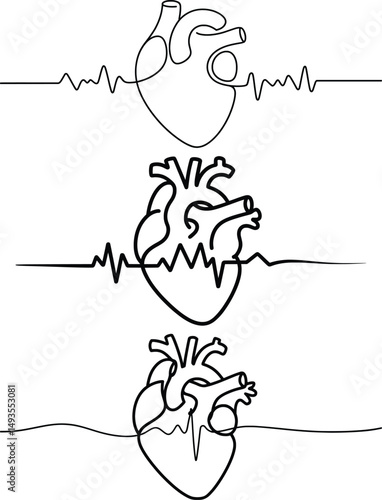 Human Heart Line Art,  Anatomical Heartbeat Vector Illustration.