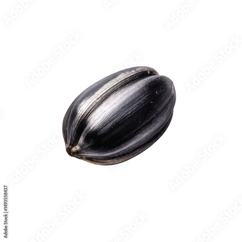 Wallpaper Mural Single sunflower seed close up isolated on transparent background Torontodigital.ca