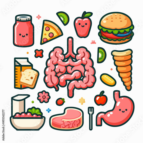 human intestine vector illustration 