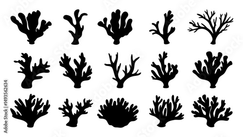 Seaweed silhouettes, coral black icon. Abstract organic shape, underwater plant, matisse element, cute sea doodle.