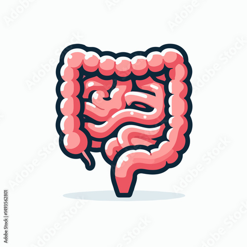 human intestine vector illustration 