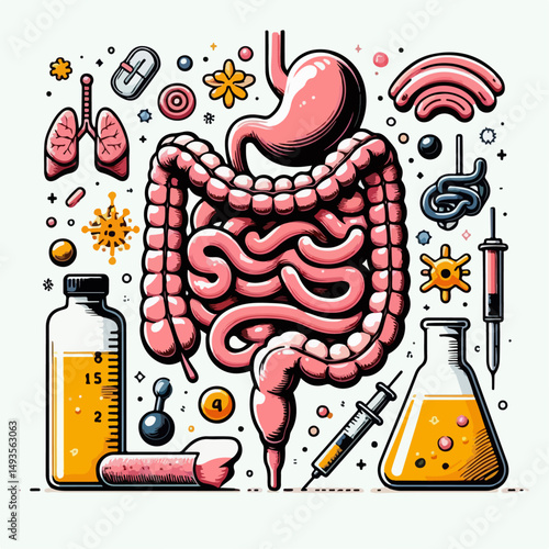 human intestine vector illustration 