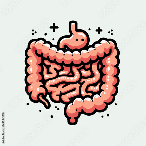 human intestine vector illustration 