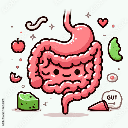 human intestine vector illustration 