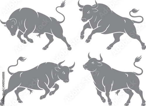 Four gray bulls charging powerful strong silhouettes