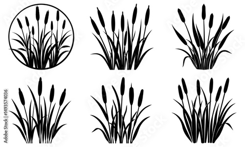 Cattail Silhouette vector illustration