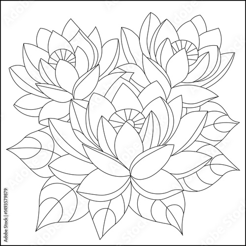 Lily flower for coloring page