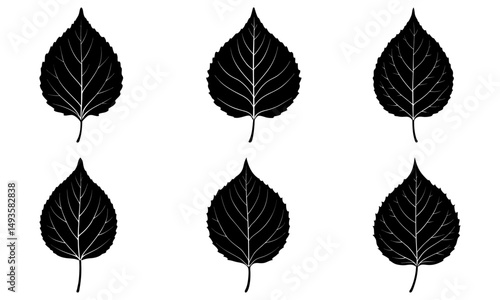 Aspen Leaf Silhouette vector illustration