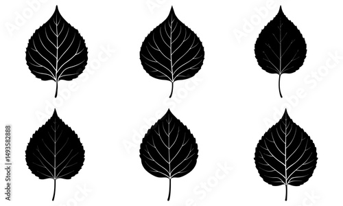 Aspen Leaf Silhouette vector illustration