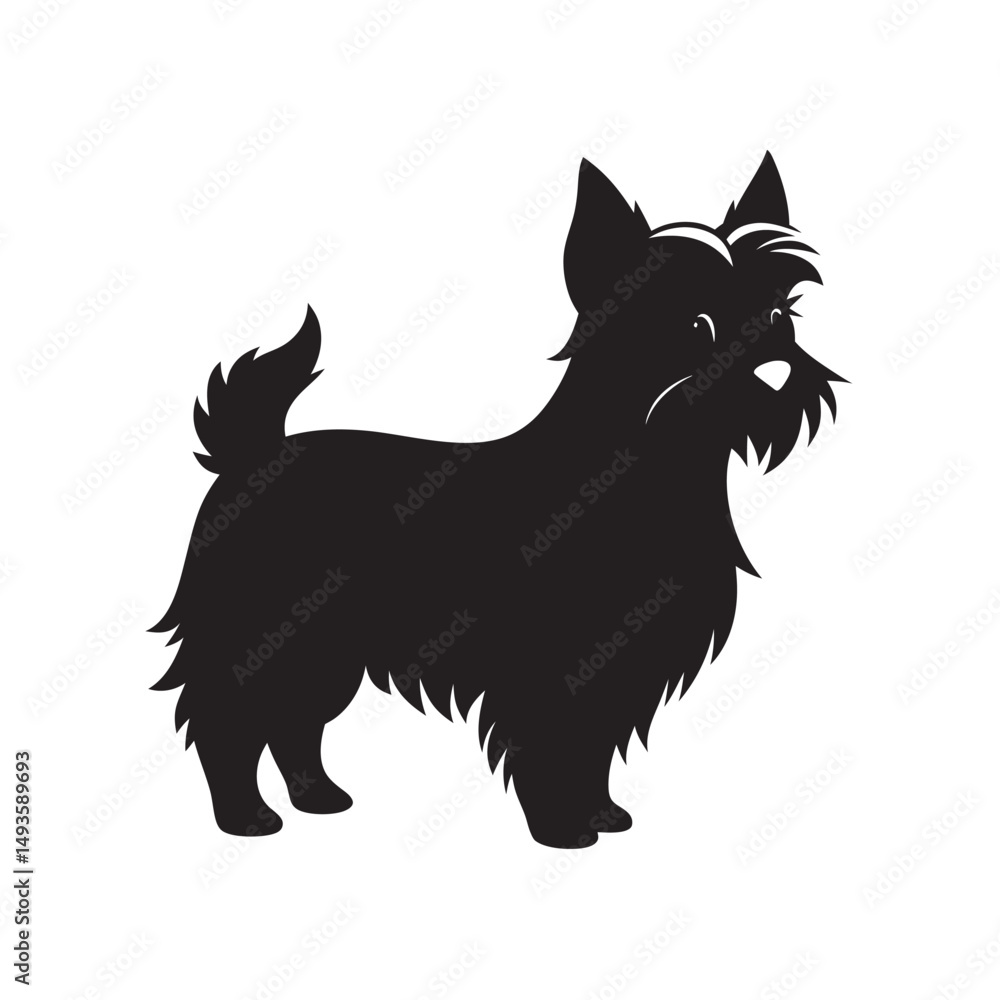 Fototapeta premium Yorkshire Terrier Standing Proud Silhouette