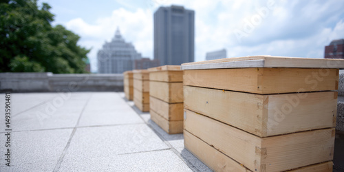 Wooden beehives are lined up on a rooftop terrace with city buildings in the background. Urban beekeeping in a modern city environment