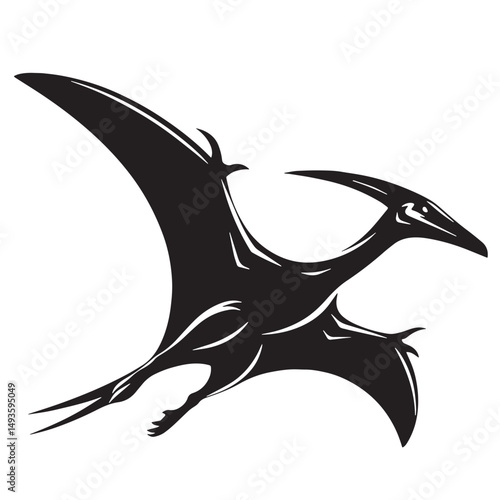 Black Color Pteranodon Silhouette Vector Illustration, Solid White Background. minimal vector design