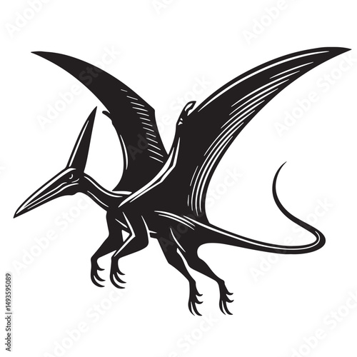 Black Color Pteranodon Silhouette Vector Illustration, Solid White Background. minimal vector design
