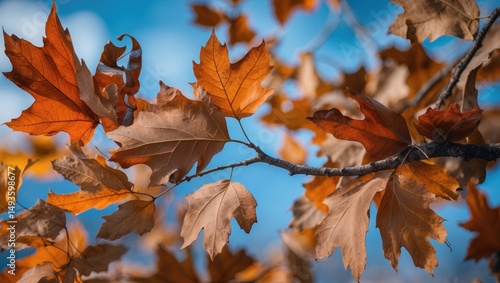 Wallpaper Mural Foliage from Oak Trees Torontodigital.ca