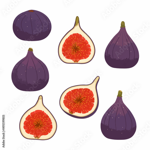 Fresh figs arrangement food design