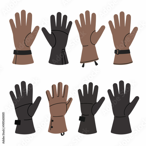Gloves collection winter and fashion hand
