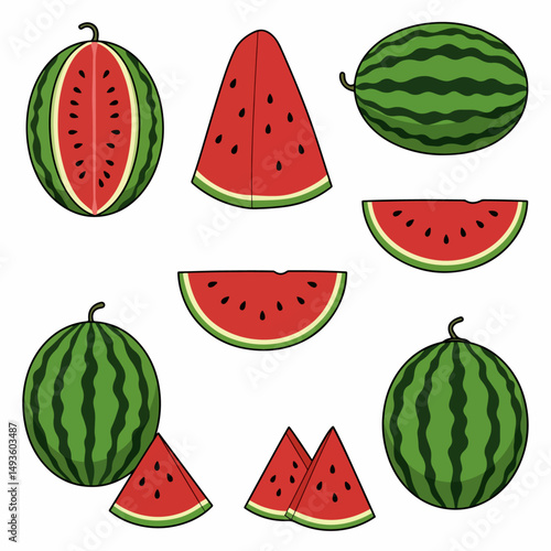 Ripe watermelons and slices isolated on white